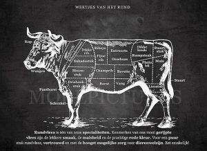weetjes van het rund